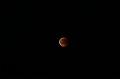 IMG_1709a
