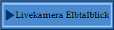 Livekamera Elbtalblick